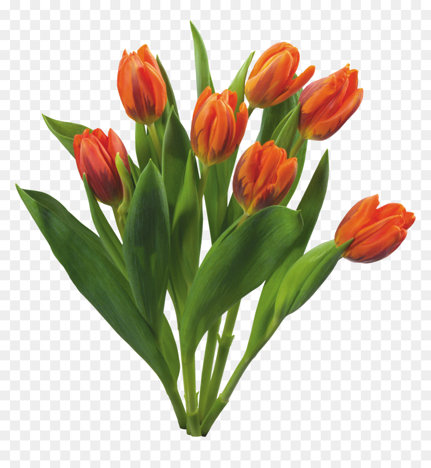 Bouquet Flowers Png - Flowers Png, Transparent Png - spring flowers png