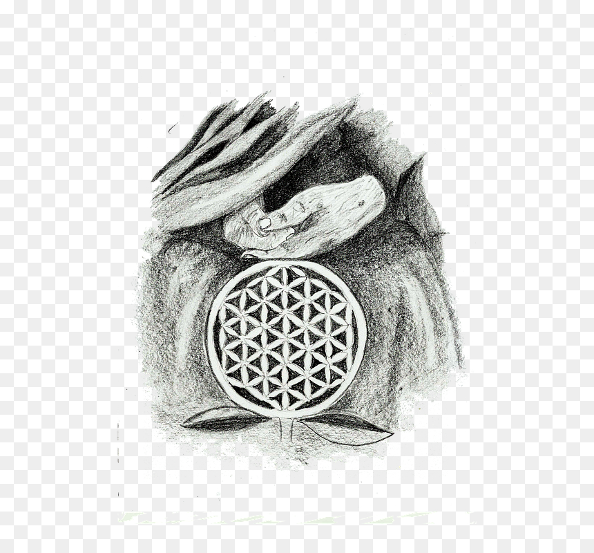 The Flower Of Life - Flower Of Life Sketch, HD Png Download - flower of life png