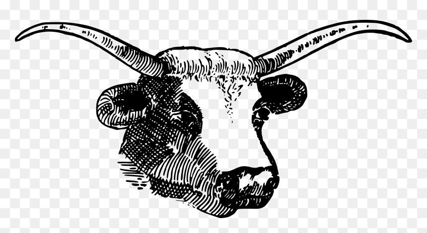 Bull Head With Horns Clip Arts, HD Png Download - horns png