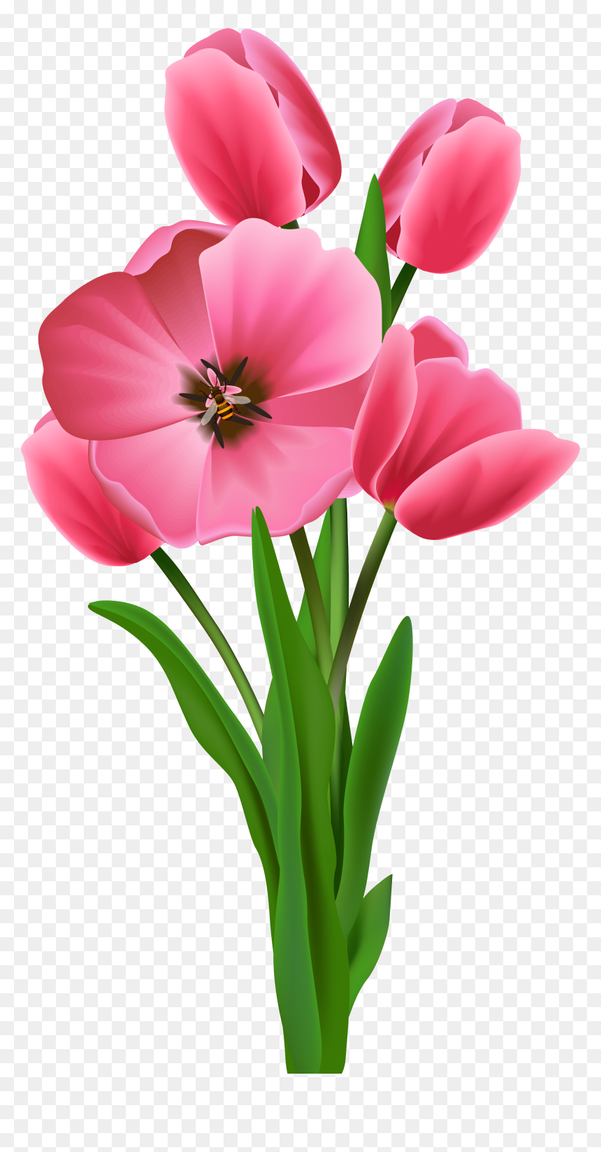 Wish Morning Youtube Good Drawing, HD Png Download - spring flowers png