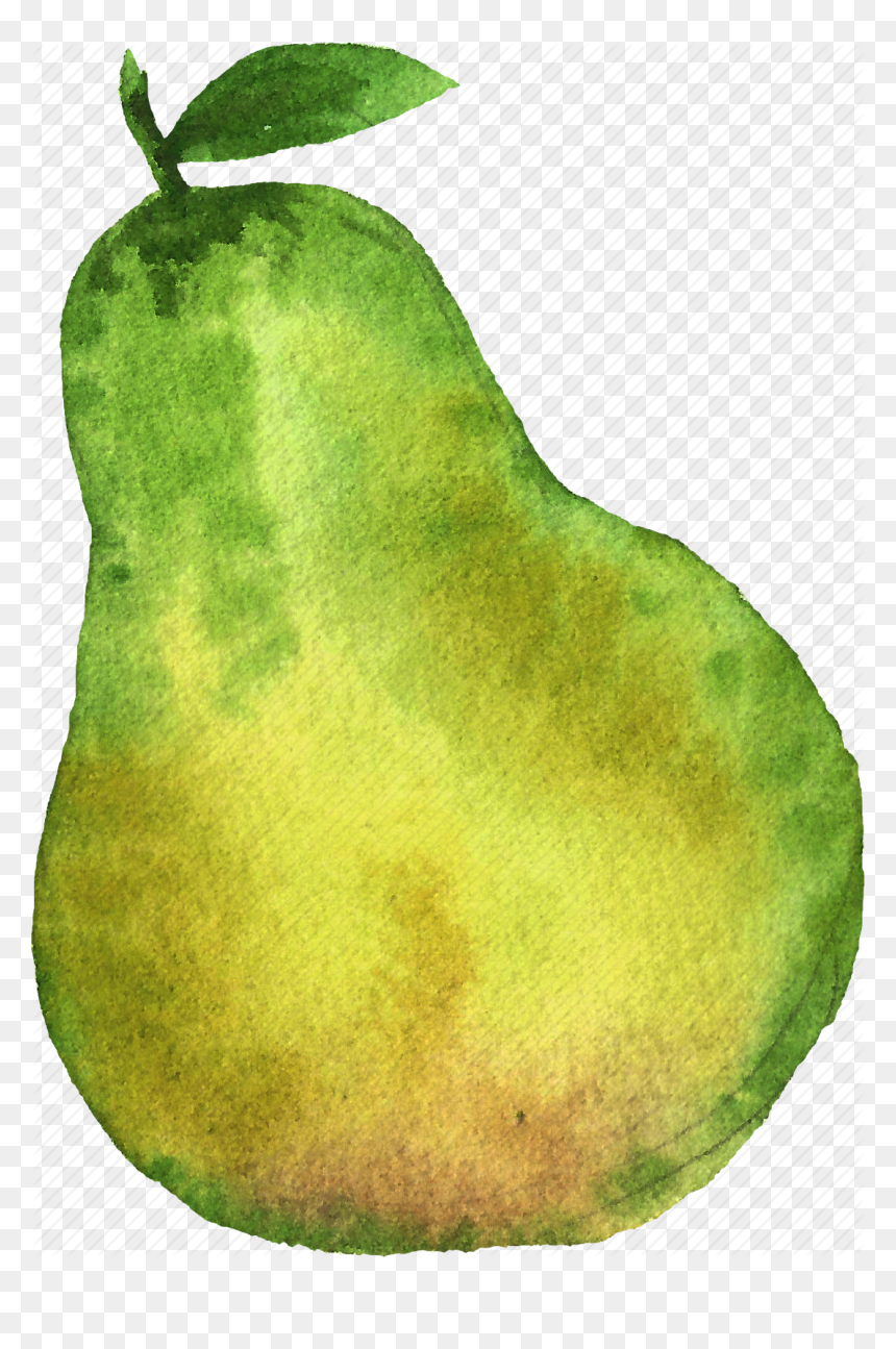 Pear Png High-quality Image - Pear Watercolor, Transparent Png - pear png