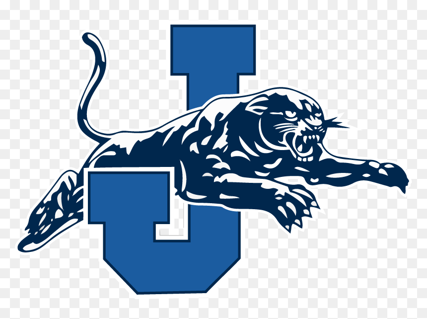 Jerseyville Panthers Logo , Png Download - Jerseyville Panthers Logo, Transparent Png - panthers logo png