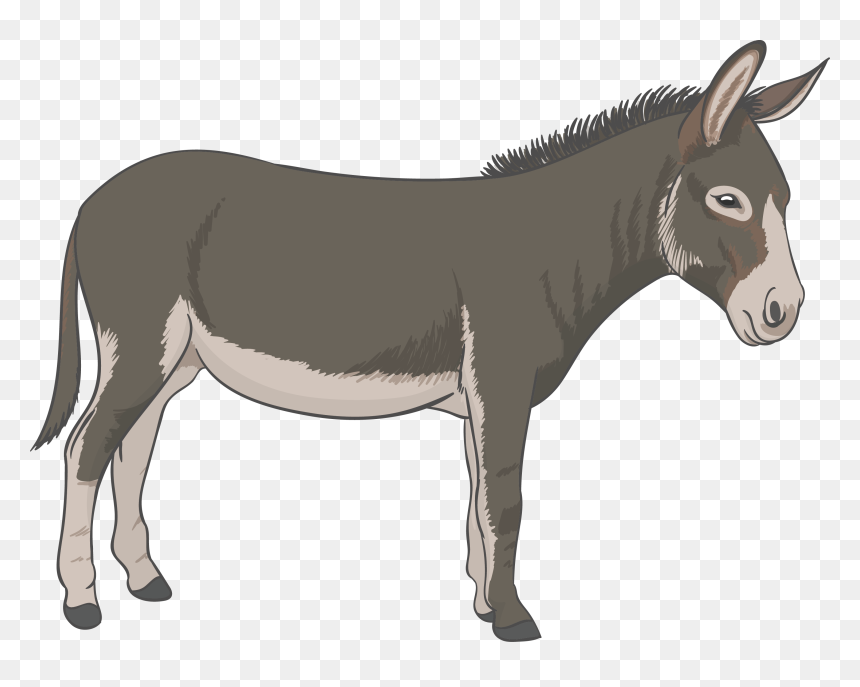 Donkey Vector Png Download - Donkey Png, Transparent Png - donkey png