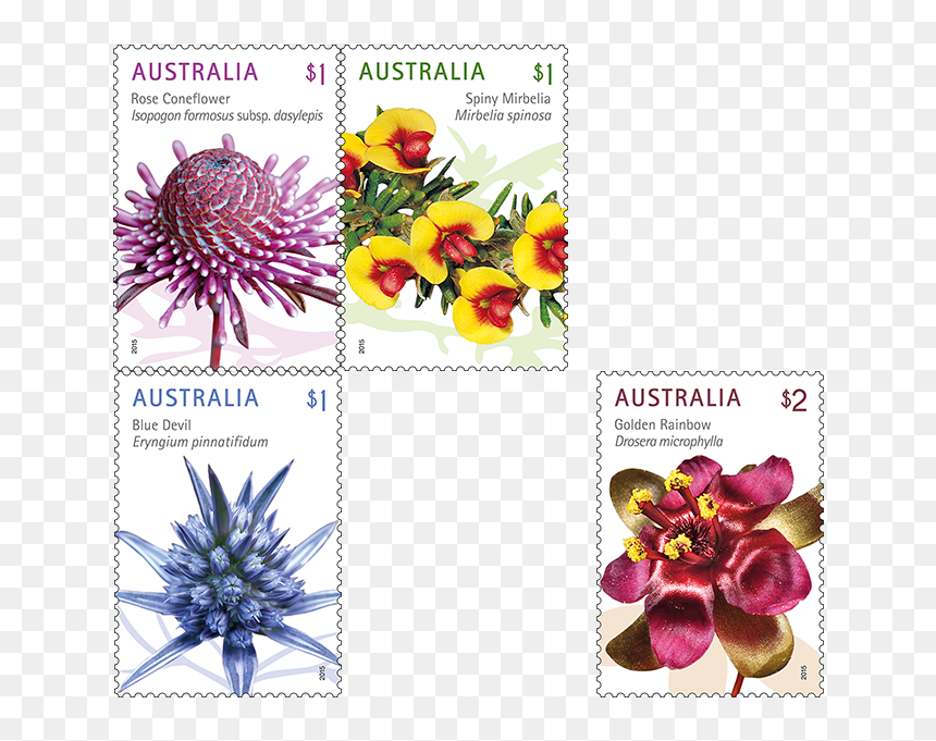 Wild Flowers Png - Postage Stamps Australia 2020, Transparent Png - purple flowers png