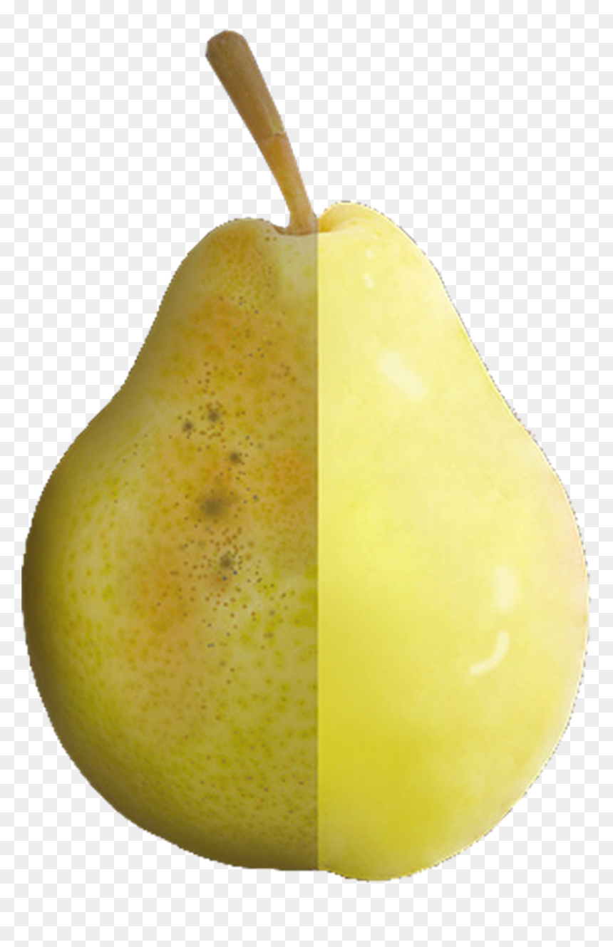 Pear Download Icon - Asian Pear, HD Png Download - pear png
