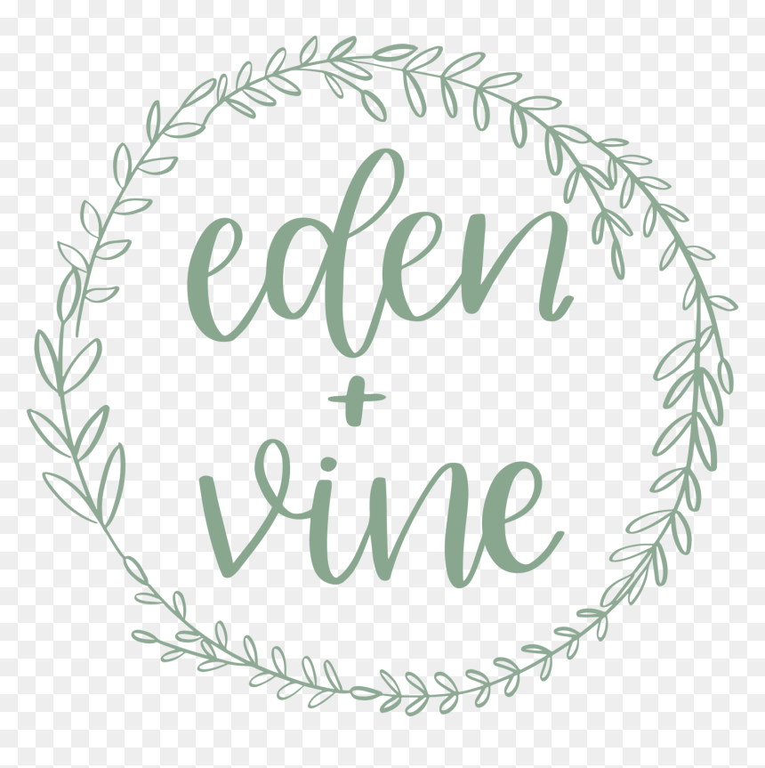1500 X 1436 - Vine Calligraphy, HD Png Download - circle border png