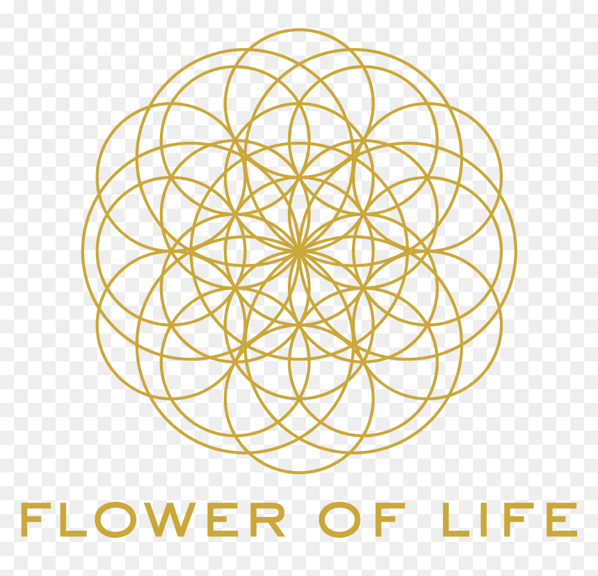 Circle, HD Png Download - flower of life png