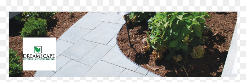 Walkway, HD Png Download - ornamental grass png