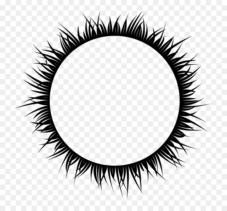 Circle, HD Png Download - ornamental grass png