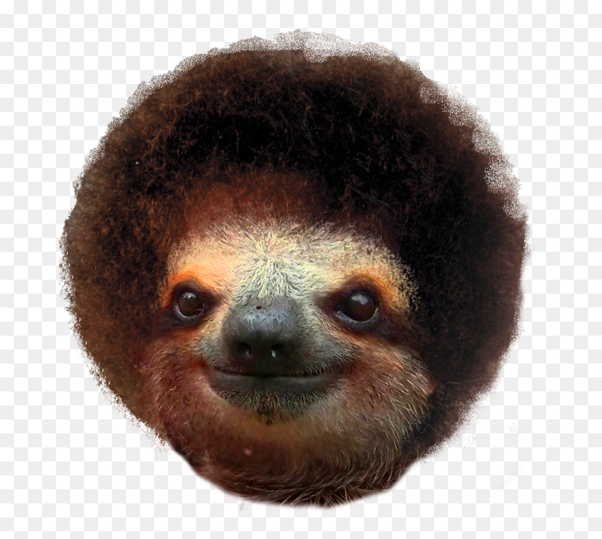 Bob Ross And Sloths , Png Download - Punxsutawney Phil, Transparent Png - bob ross png