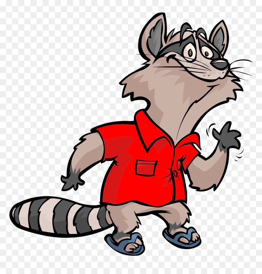 Racoon Clipart Vertebrate - Raccoon, HD Png Download - raccoon png