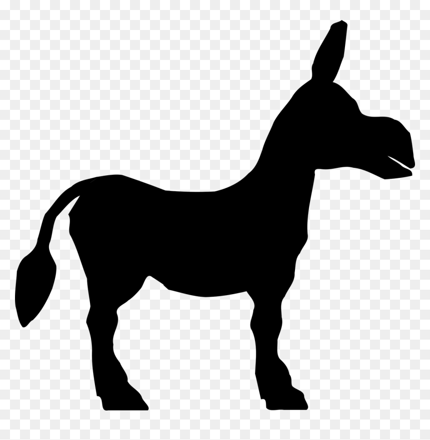 Donkey Png, Transparent Png - donkey png