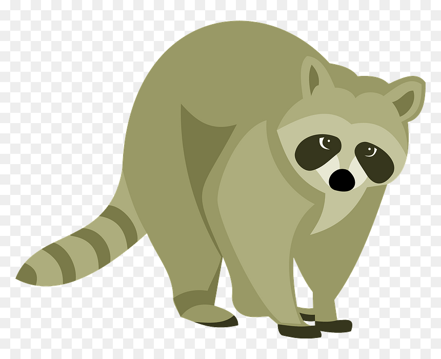 Raccoon Animal Clipart - Procyon, HD Png Download - raccoon png