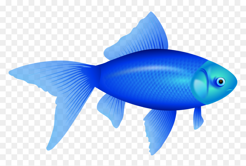 Fish Clipart No Background, HD Png Download - goldfish png