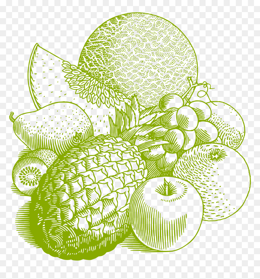 Fruits Clip Arts - Fruits Lineart All Fruits, HD Png Download - fruits png