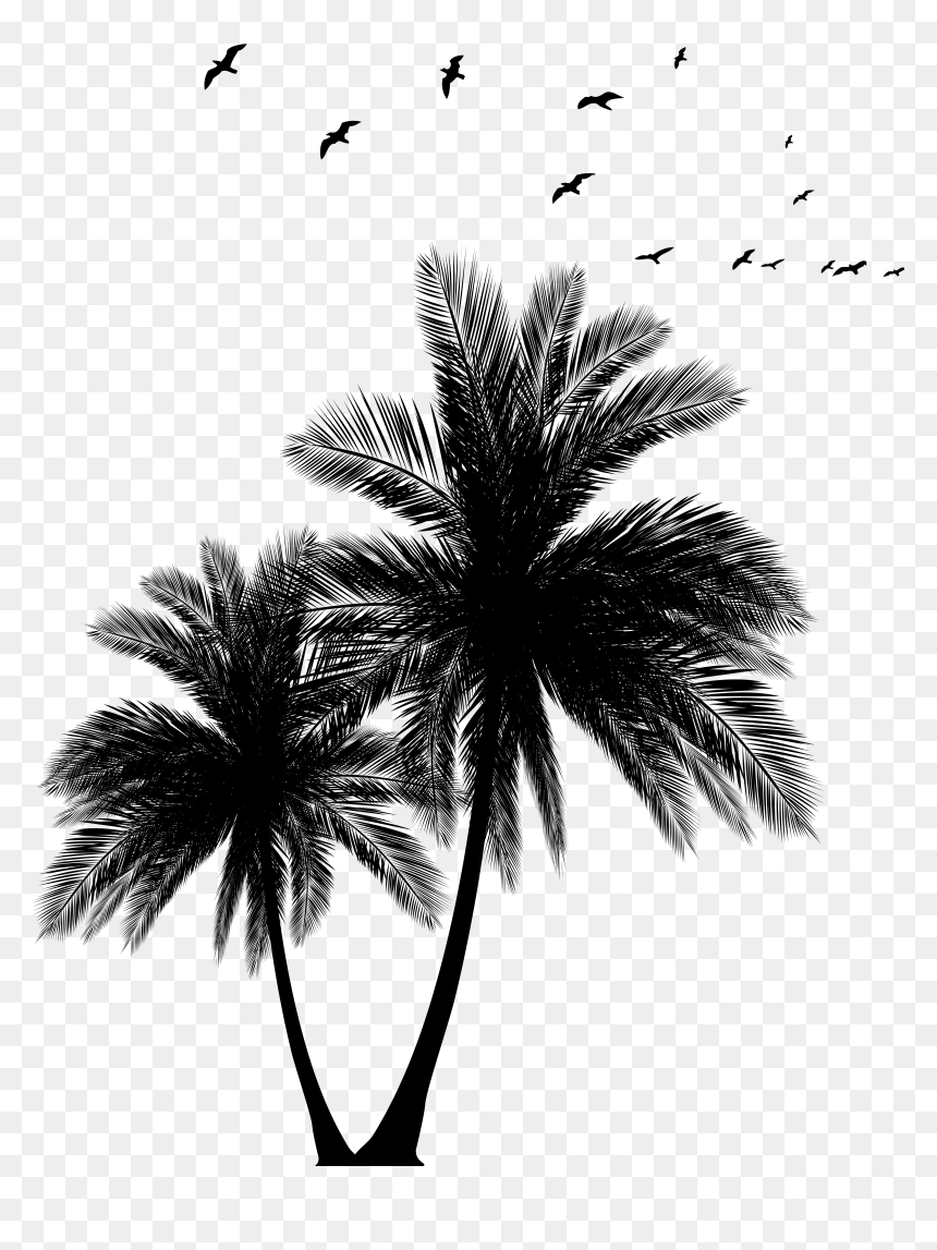 Palms Png , Png Download - Palm Tree Sun Set Black And White Vector, Transparent Png - palms png