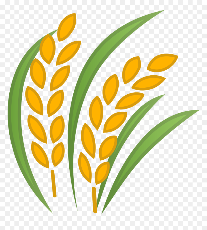 Sheaf Of Rice Icon - Transparent Rice Icon, HD Png Download - rice png