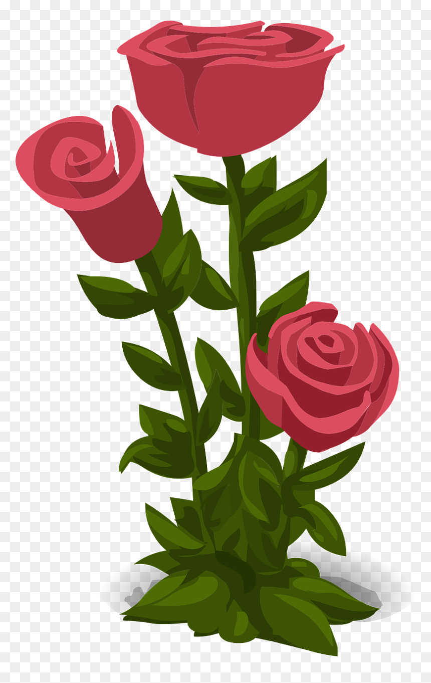 Pink Flowers Png, Transparent Png - pink flowers png