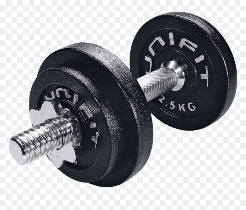 Free Png Dumbbell - صور حديد كمال اجسام, Transparent Png - dumbbell png