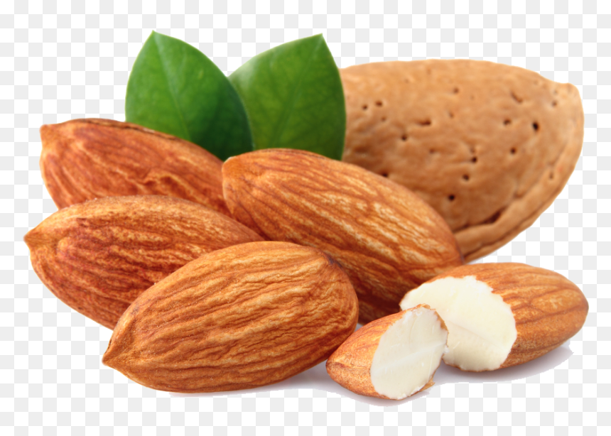 Almond Free Download Png - Almond, Transparent Png - dry fruits png