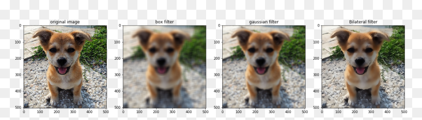 Aspin, HD Png Download - dog filter png