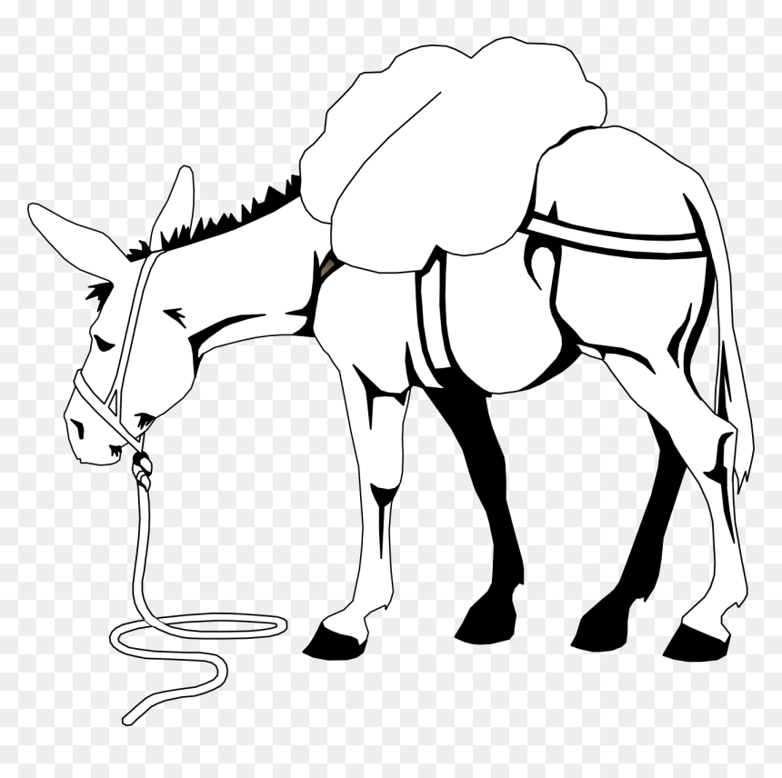 Clip Art Donkey Free Download Clipart - Donkey Clipart Black And White, HD Png Download - donkey png