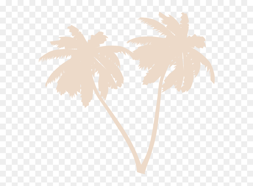 White Palm Leaves Png, Transparent Png - palms png