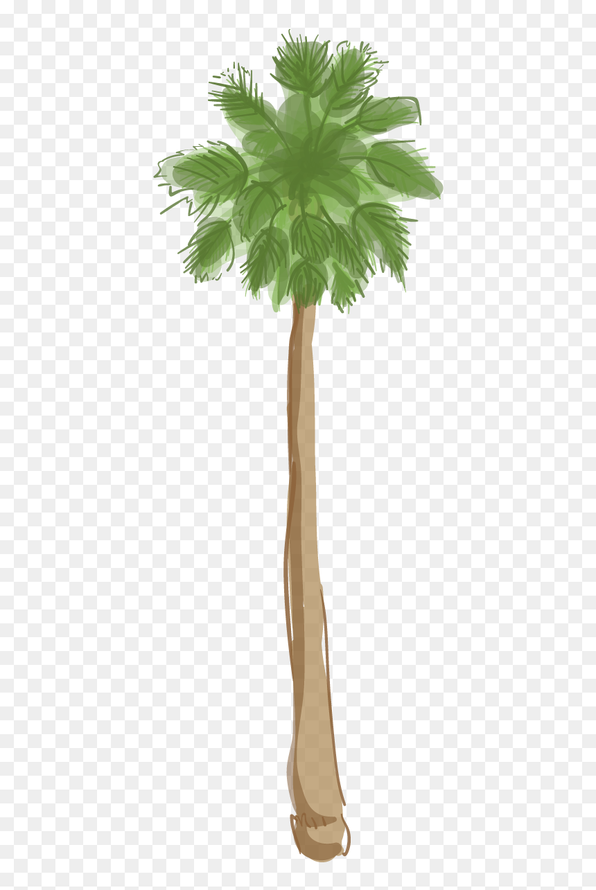 Los Angeles Palm Tree Png, Transparent Png - palms png