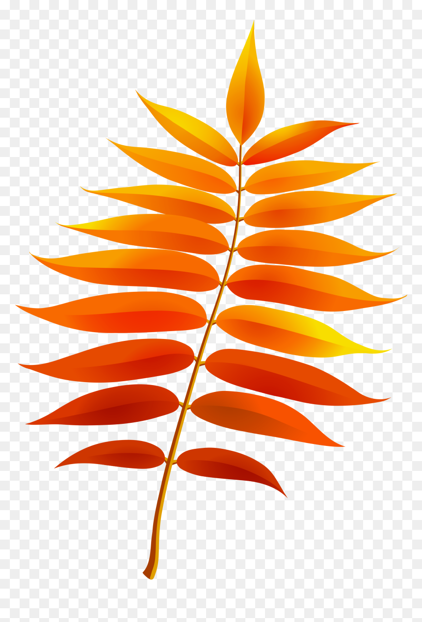 Transparent Fall Leaf Png Image Clipart - Clip Art, Png Download - fall leaf png