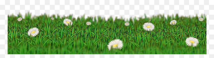 Dance, HD Png Download - grass flower png