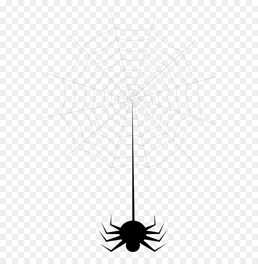 Spider Web Clipart - Spider Web, HD Png Download - spiderweb png