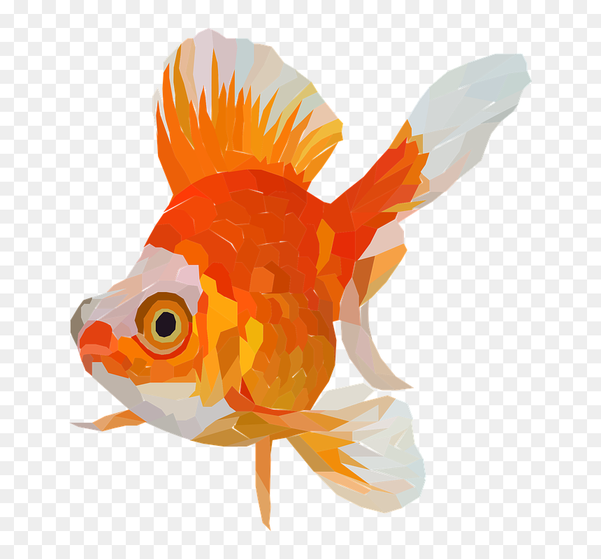 Goldfish, HD Png Download - goldfish png