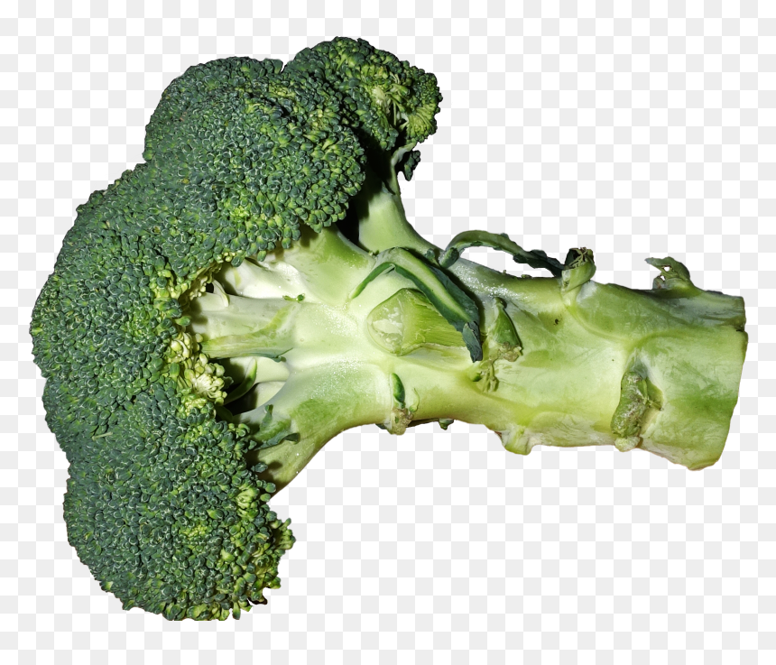 File - Broccoli - Broccoli, HD Png Download - broccoli png
