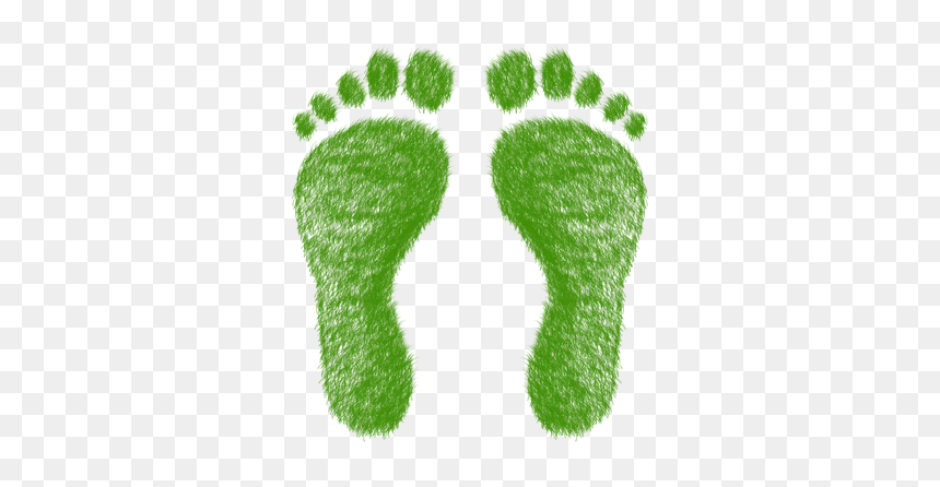 The Ecological Footprint Challenge, HD Png Download - footprint png