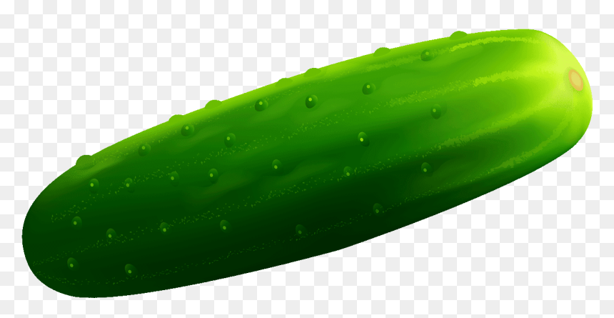 Single Cucumber Png Free Download - Cucumber Clipart, Transparent Png - cucumber png