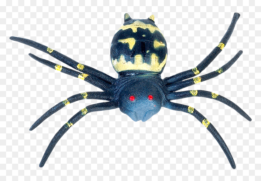 Spider Transparent Png Image Free - Southern Black Widow, Png Download - spiderweb png