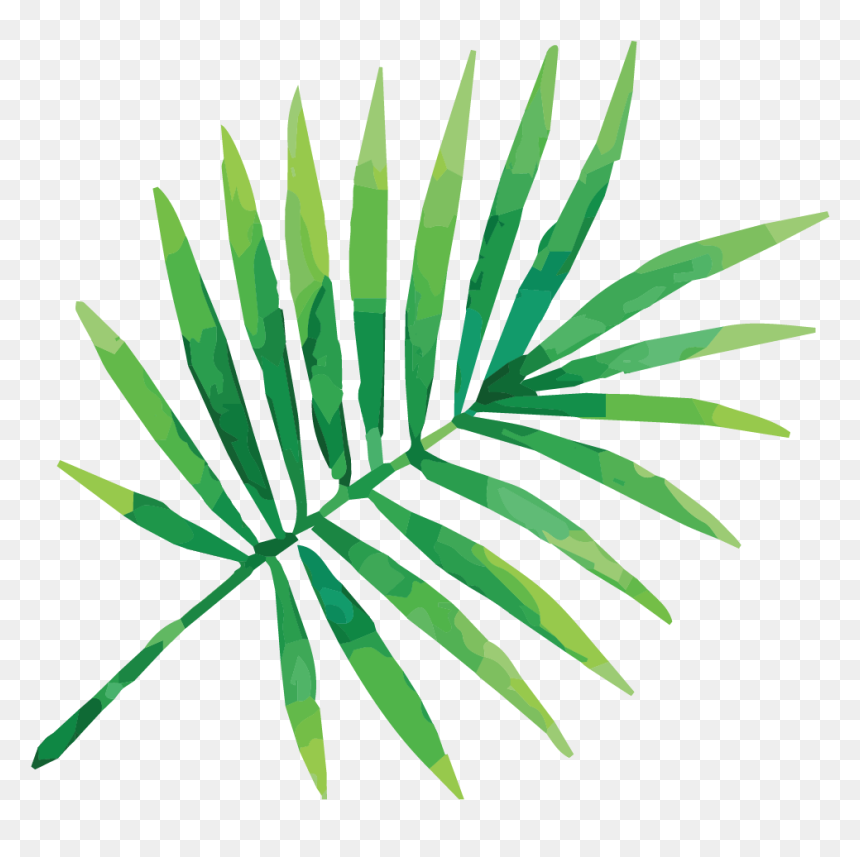 Cropped Bartboard - Tropical Leaf Illustration Png, Transparent Png - tropical leaves png