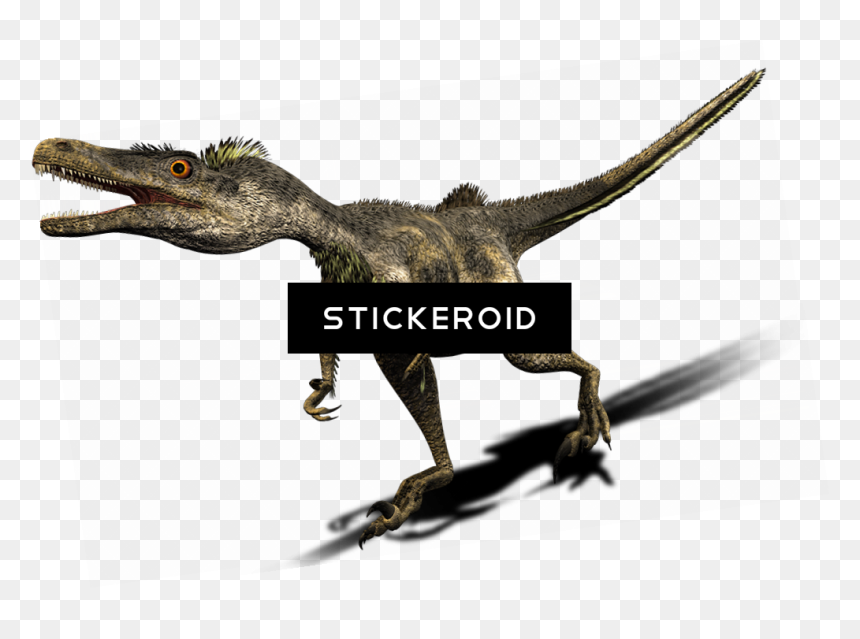 Velociraptor , Png Download - Velociraptor, Transparent Png - velociraptor png