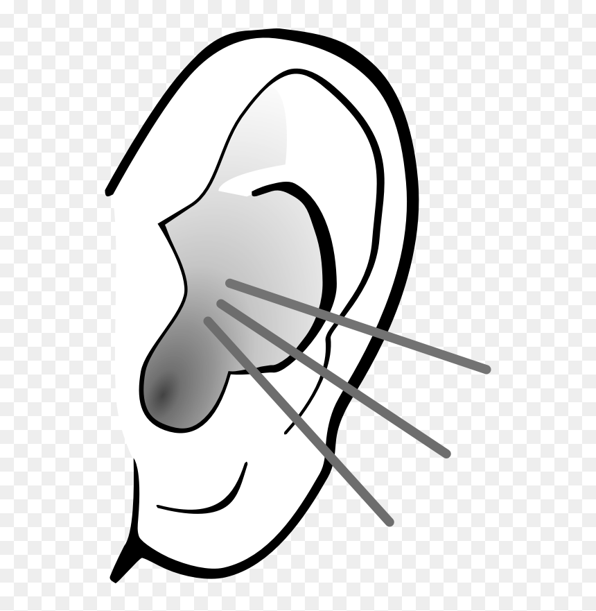 Ears Clipart Black And White, HD Png Download - ear png