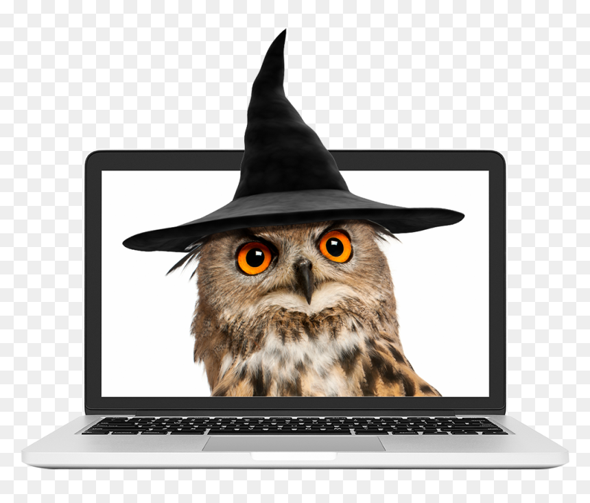 Owl Wearing A Wizard Hat - Portable Network Graphics, HD Png Download - wizard hat png