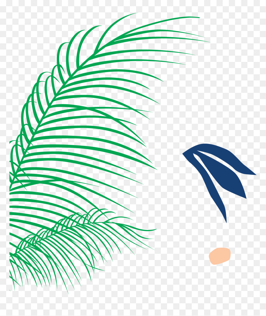 Illustration, HD Png Download - palms png