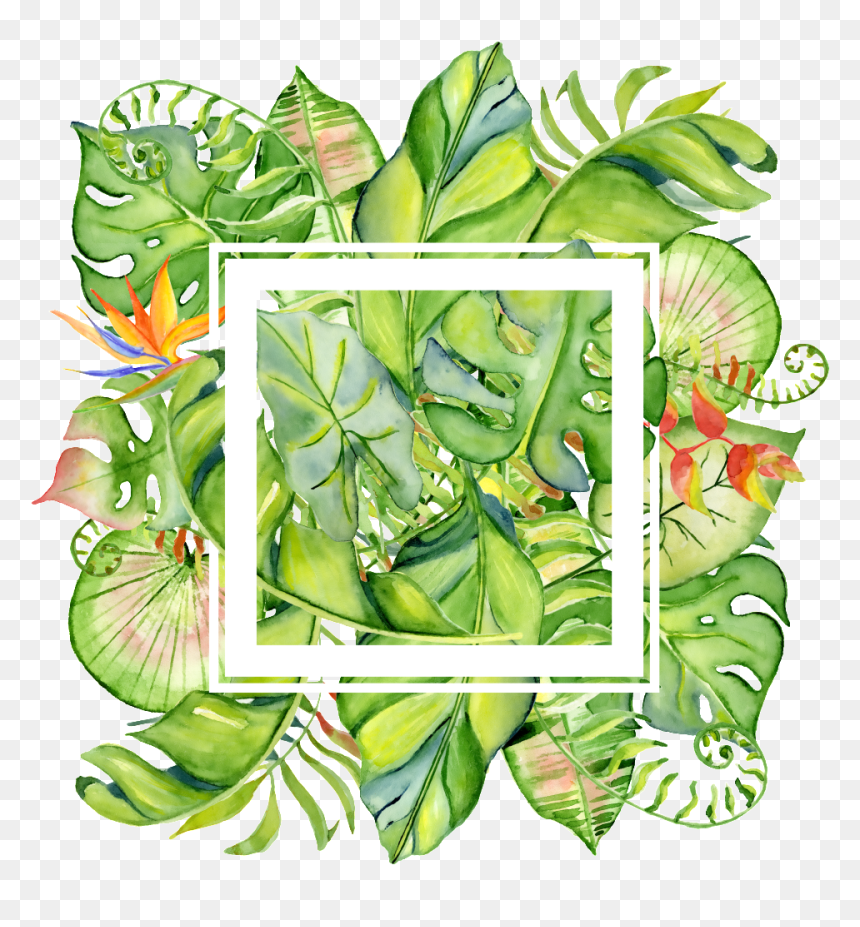 Painted Tropical Leaves Frame Png Transparent About - Border Tropical Leaves Png, Png Download - tropical leaves png