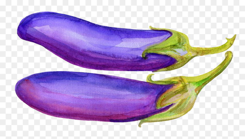 Svg Freeuse Library Vegetable Illustration Hand Painted, HD Png Download - eggplant png