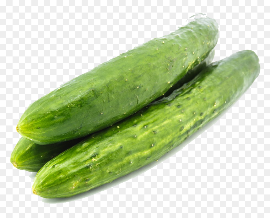 Cucumber Png Images - Japanese Cucumber Png, Transparent Png - cucumber png
