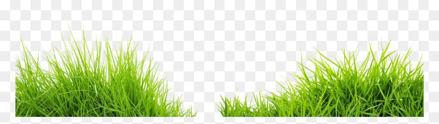 Transparent Lawn Grass Png, Png Download - green png