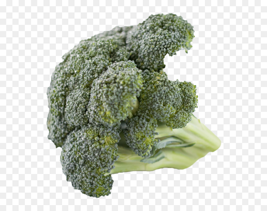 Broccoli Png Image - Broccoli, Transparent Png - broccoli png