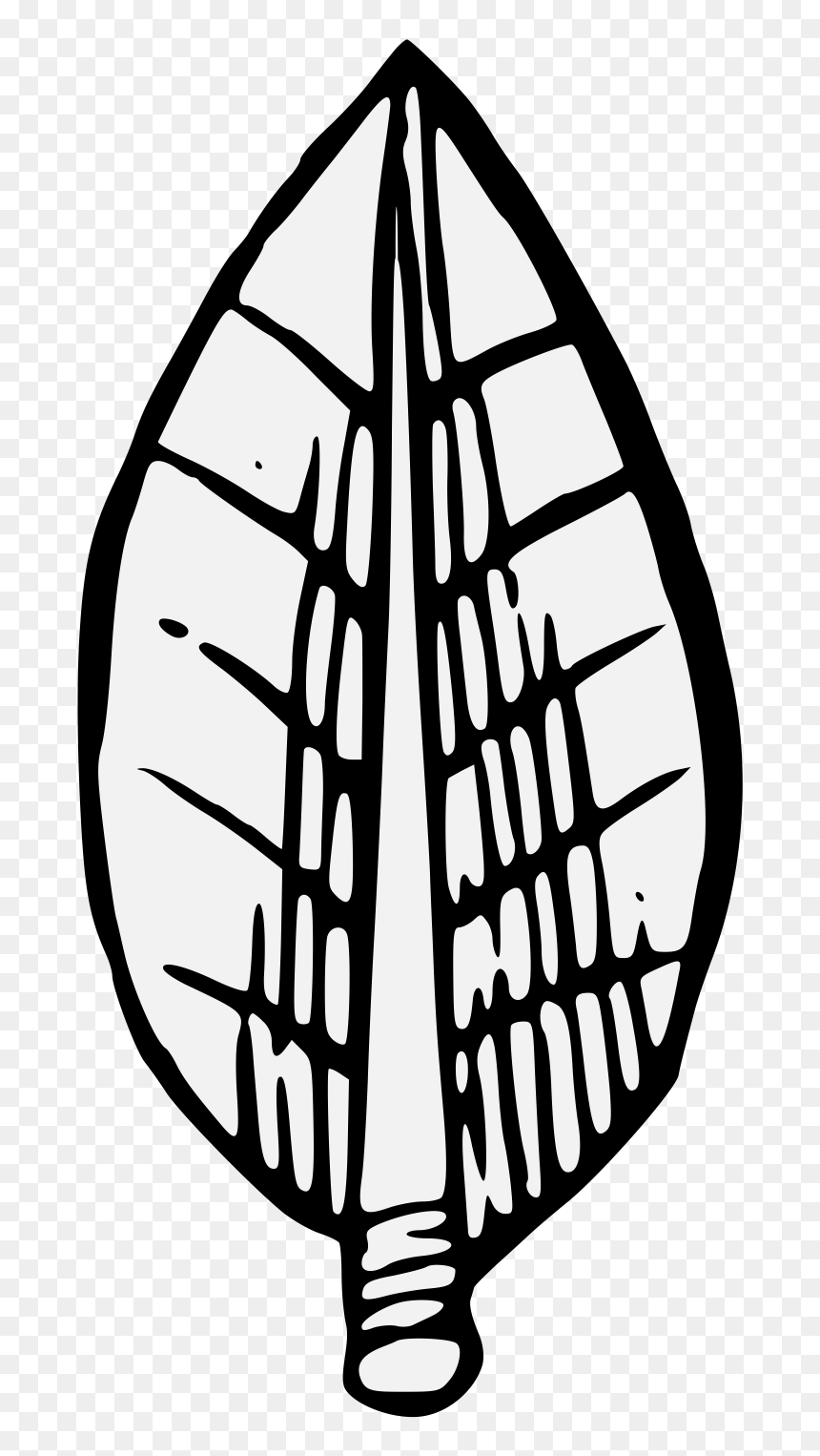 Bay Laurel , Png Download - Bay Leaf Clipart Black And White, Transparent Png - laurel png