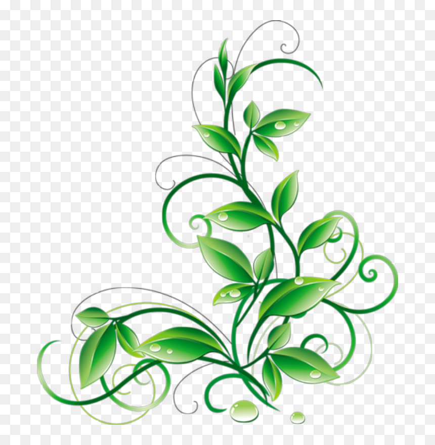 Floral Green Leaves And Water Droplets Png Clipart - Green Flowers Png, Transparent Png - water droplets png