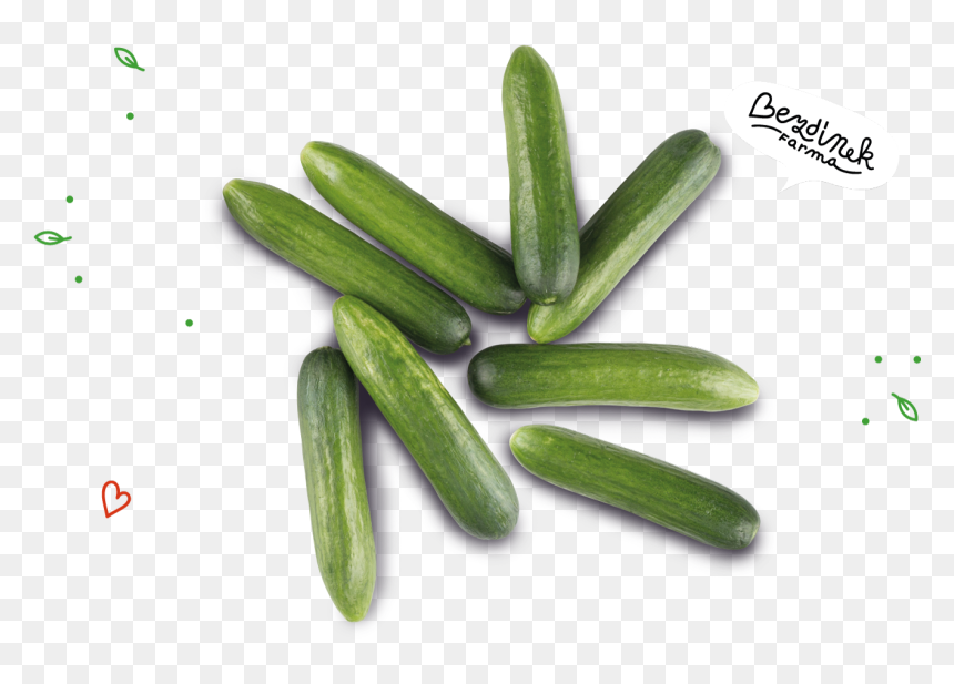 Transparent Pepino Png - Cucumber, Png Download - cucumber png