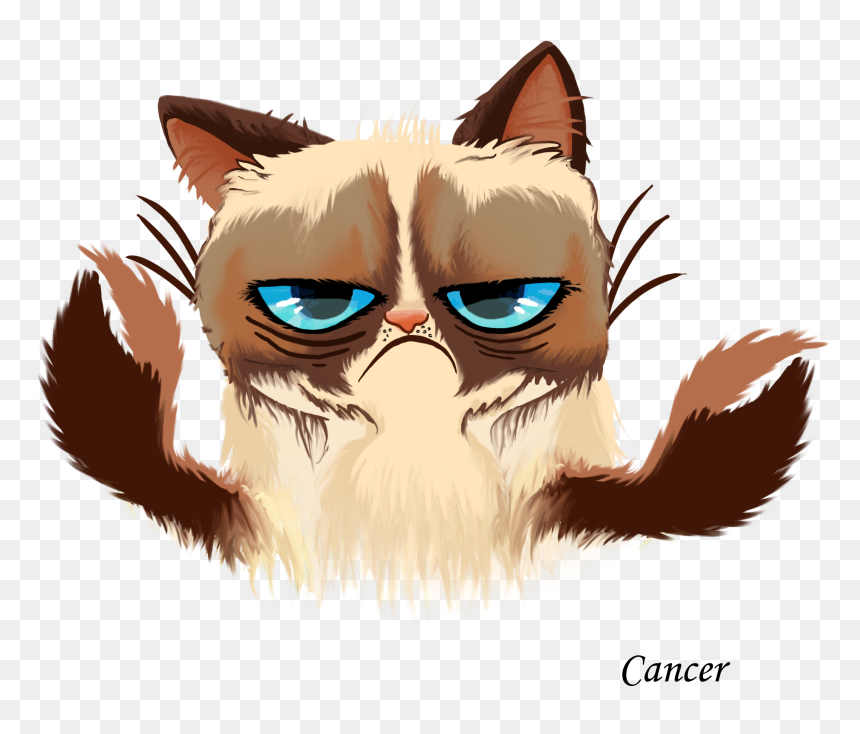 Grumpy Cat Kitten Cats And The Internet - Grumpy Cat Horoscope Signs, HD Png Download - grumpy cat png